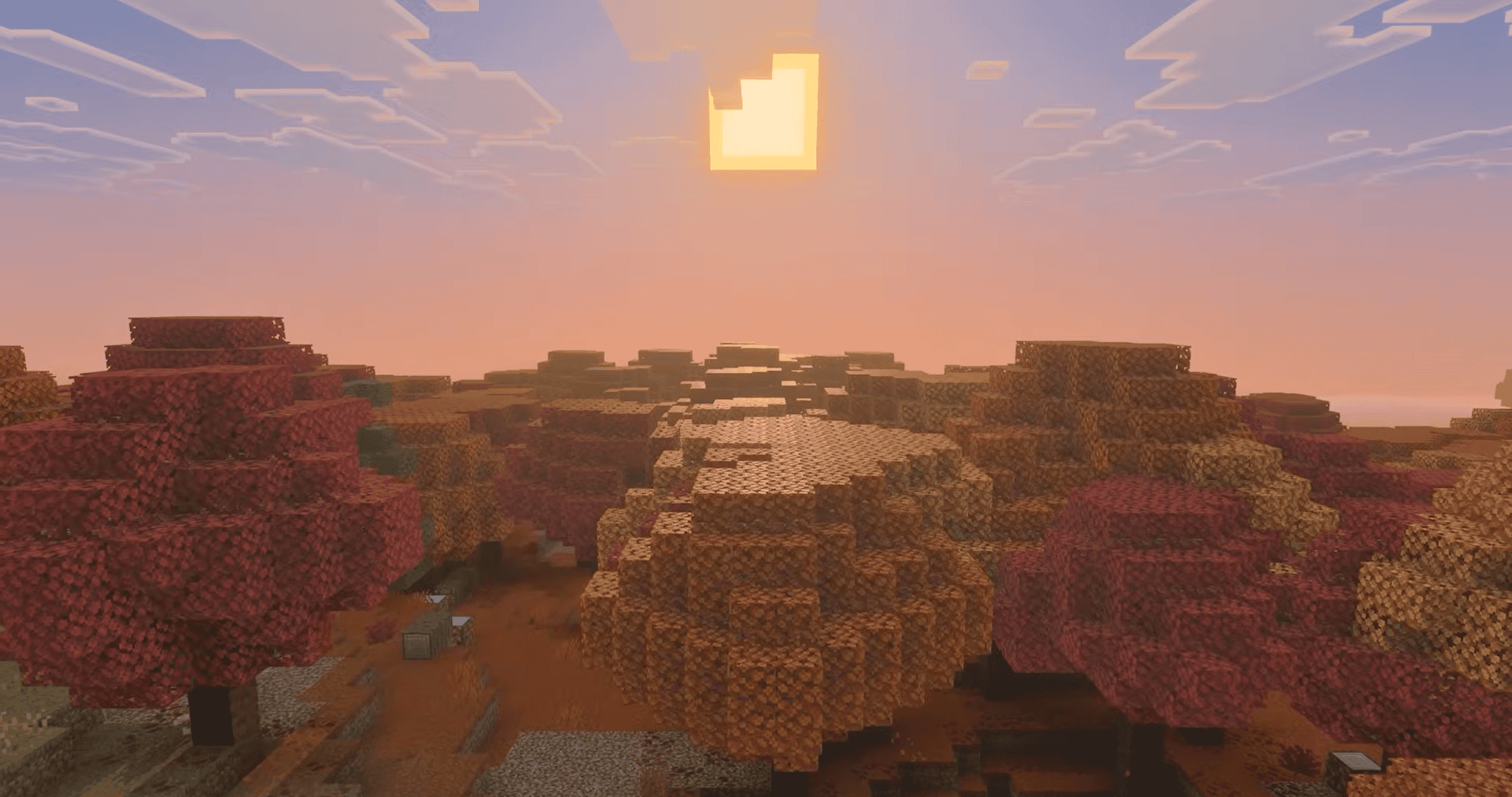 Minecraft Dappled Forest biome with red, orange, and yellow treetops glowing under a low sunset sky.
