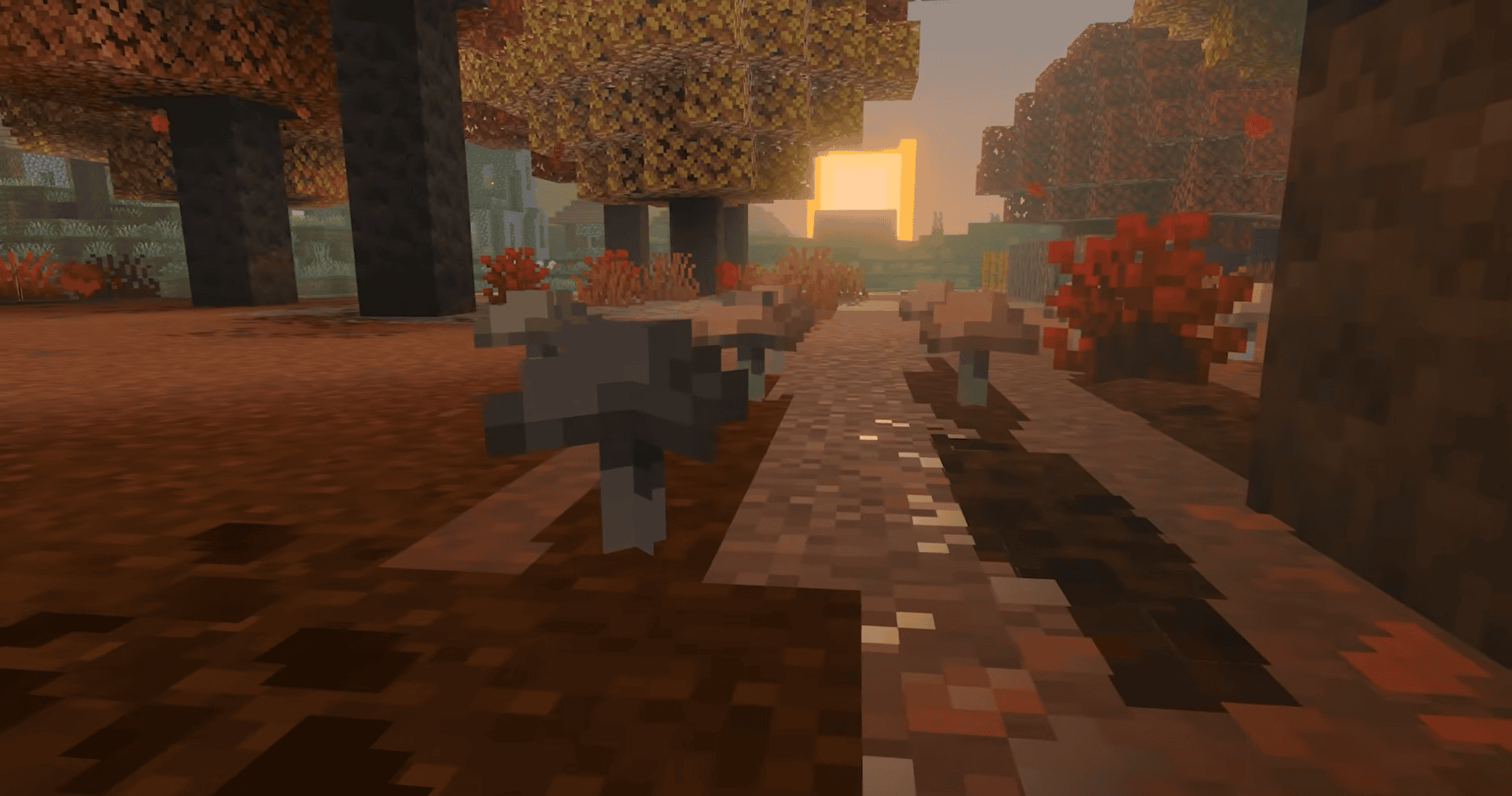 Ground-level view of the Minecraft Dappled Forest with red shrubs, mushrooms, dark Poplar trunks, and autumn leaf litter.